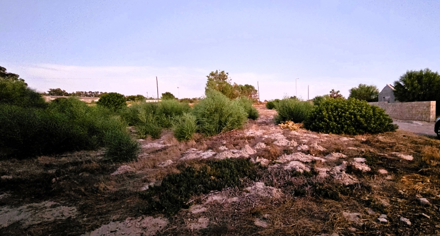 0 Bedroom Property for Sale in Hopefield Western Cape